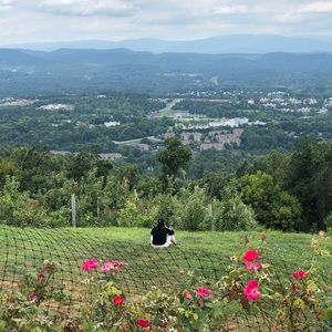 Meet your Posher, Laura